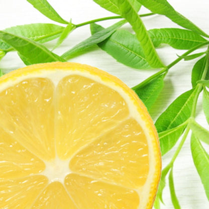 Lemon Verbena